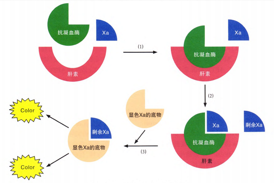 國產抗Xa質量如何？多中心臨床研究來告訴你！